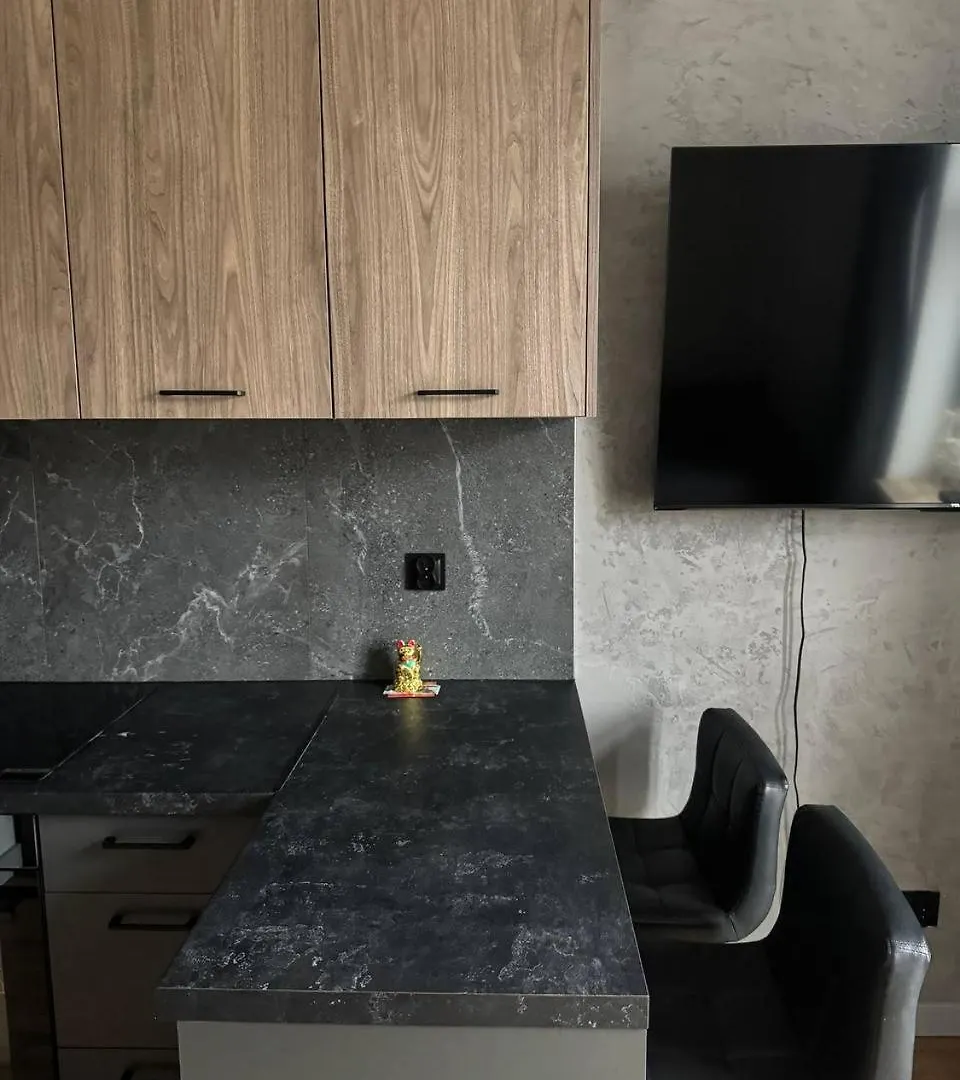 Elegant Studio Apartment, Kazimierz, Krakow Apartment